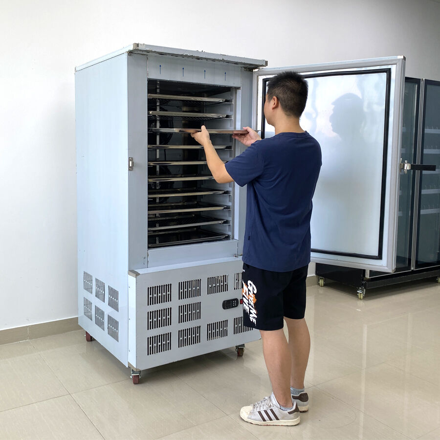 Built-in ULT Flash Freezing Equipment: 10 Pans Shock Freezer