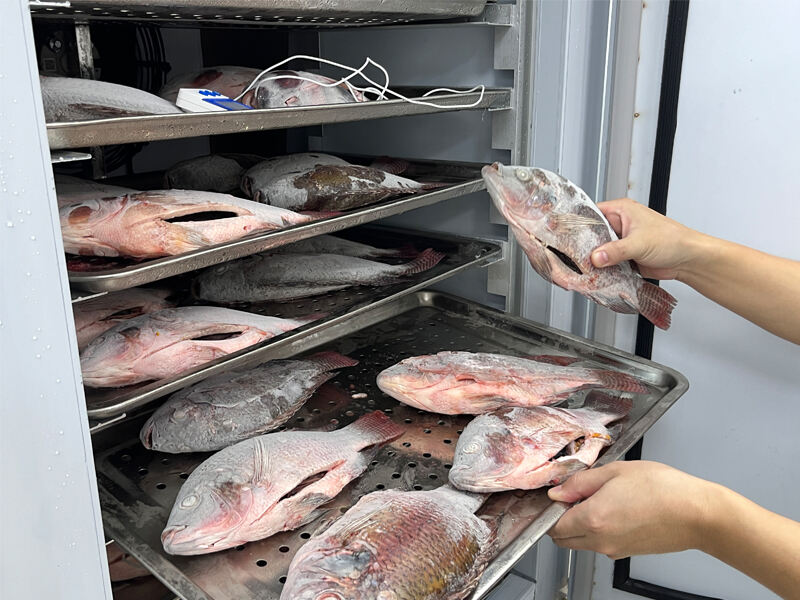 Flash freezer benefits for seafood
