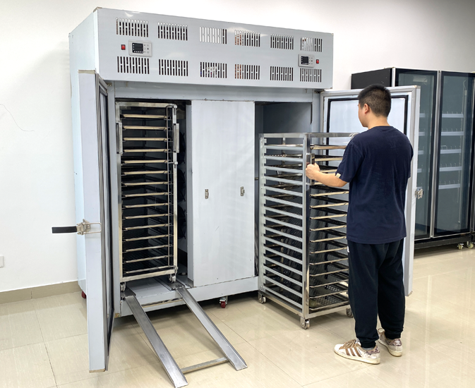 Blast Chiller Cost-Effective Solutions for Small Business Projects
