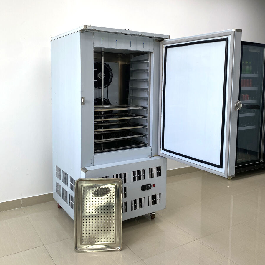 Built-in ULT Flash Freezing Equipment: 10 Pans Shock Freezer