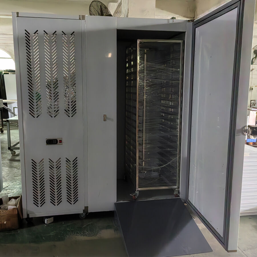 Industrial Flash Freezing: Rapid Cooling Blast Chiller & Shock Freezer