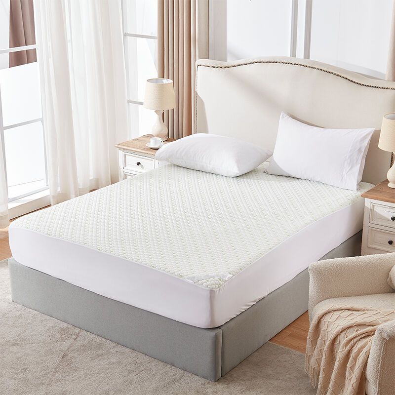 Umweltfreundliche Auswahl für bewusste Verbraucher