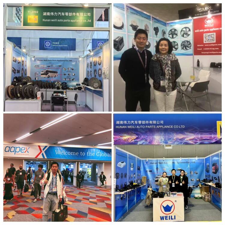 Events & Exhibitions