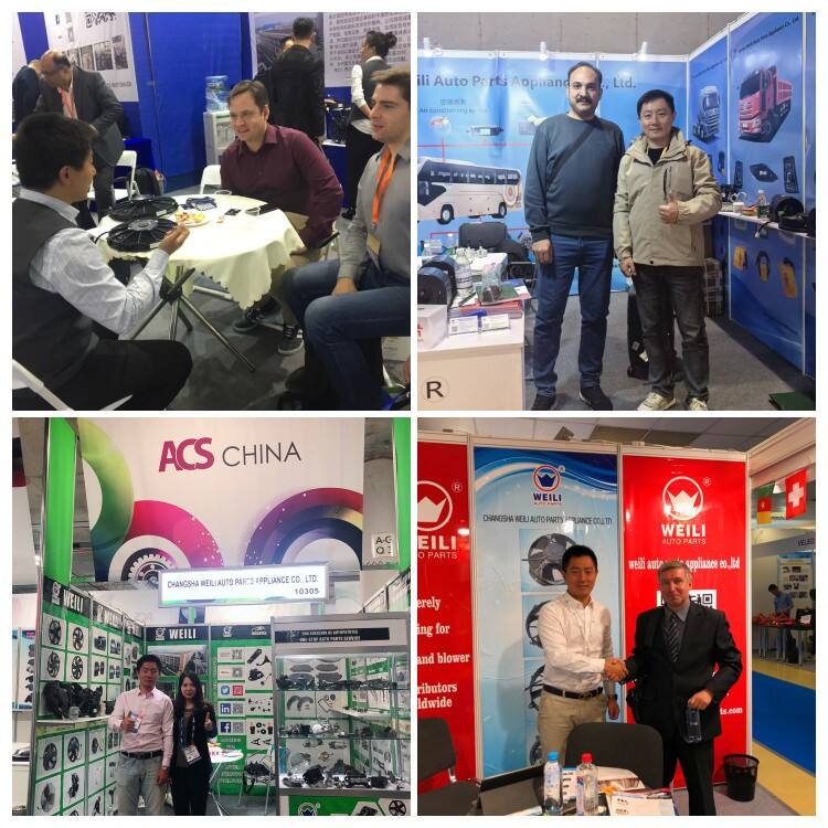 Praestans Durabilitas et Protectio Adversus Tempestates