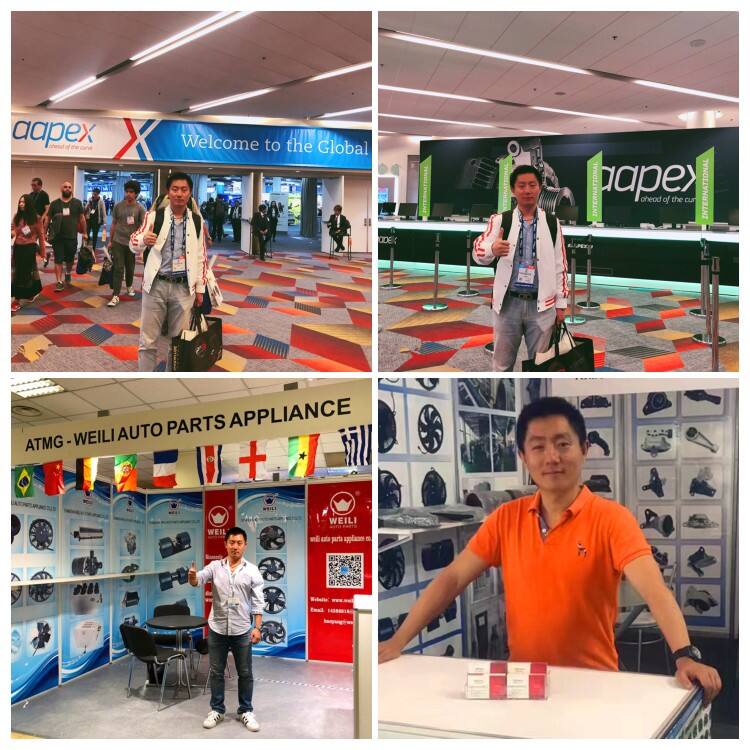 Events & Exhibitions