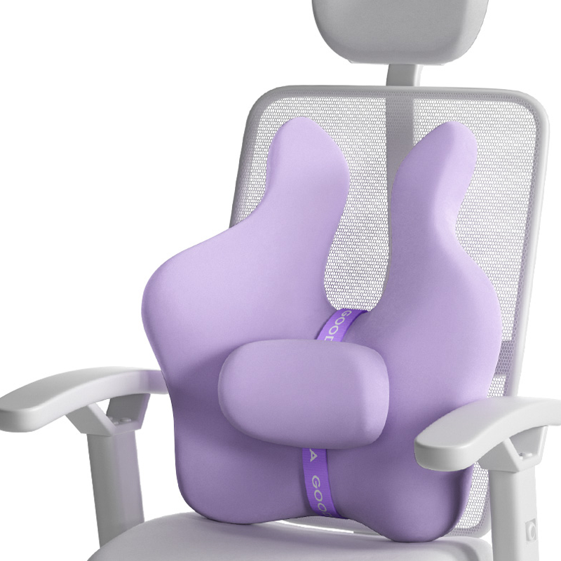 Përshtatshmëri Universale dhe Konveniencë Portative