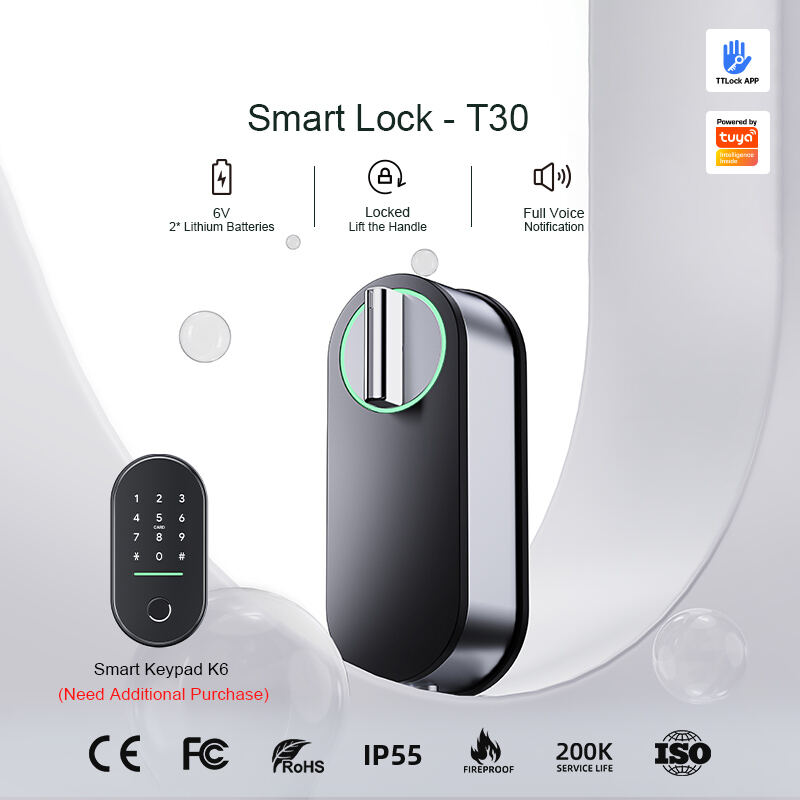 Smart Lock for Europe Wholesale Products Suppliers and Manufacturer ...