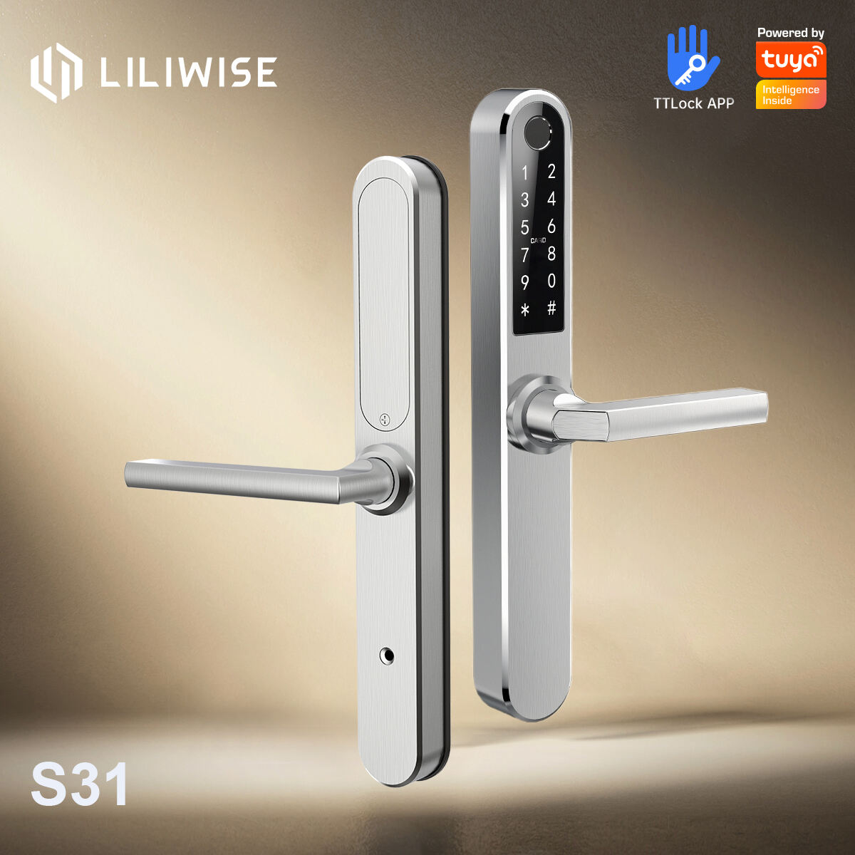 SS304 Digital Door Lock Smart Lock with Fingerprint Password Card Mechanical Key_S31