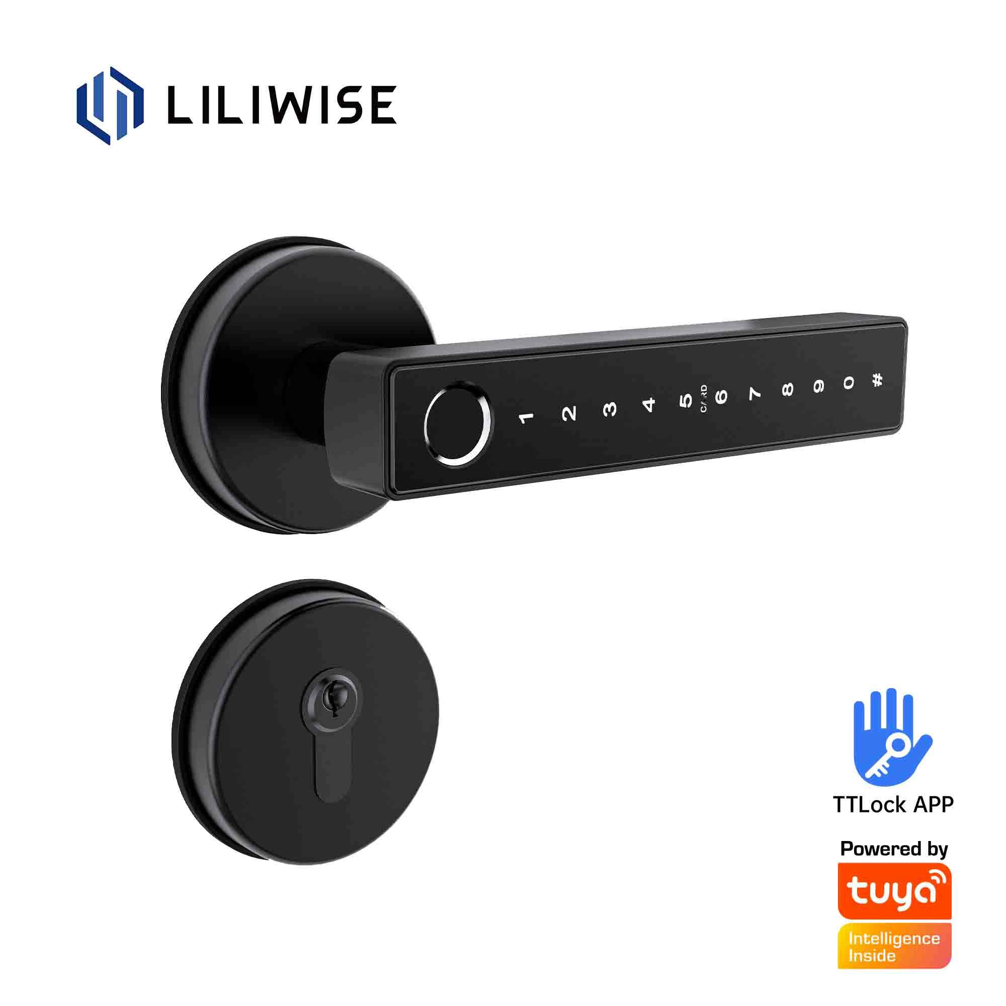 Smart Lever Locks with Wifi Bluetooth Fingerprint for Front/Interior Door_N27