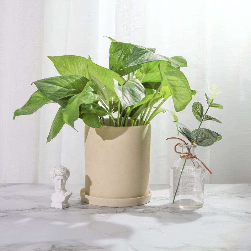 Custom ECO Friendly Cute Small Decorative Flower Pot Indoor Garden Ceramic Garden Pots & Planters