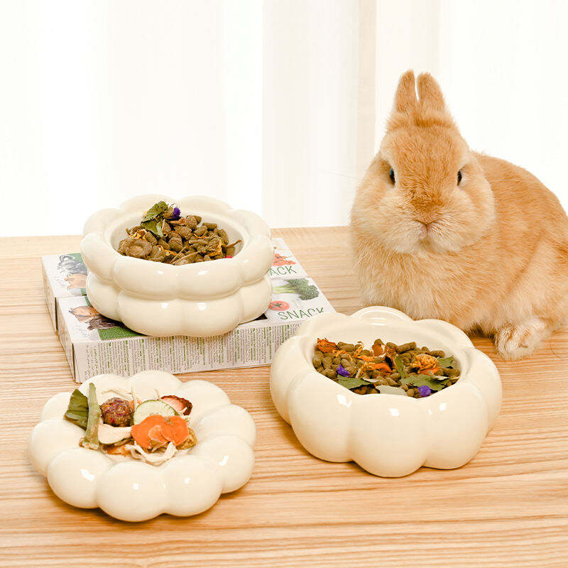Pet Cat Ceramics Bowl Dog Basin Non Spill Cat Dog Bowl Pet Food Bowl Pet Ceramic Bowl