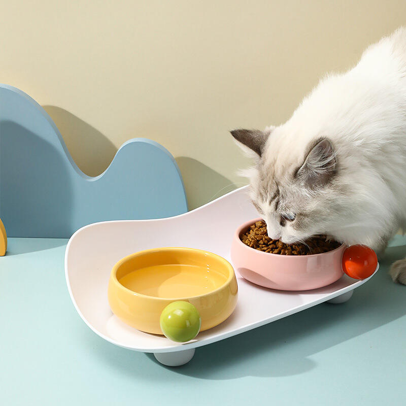 Double Bowl Pet Dining Plate Large Bore Dog Cat Bowl Boxed Sugar Bean Ceramic Portable Double Bottle Pet Food Water