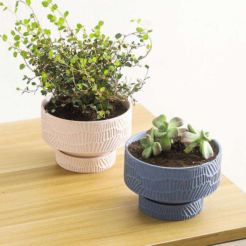 Ceramic Container Porcelain Flowerpot with Dual Use-for Garden or Candle Jar