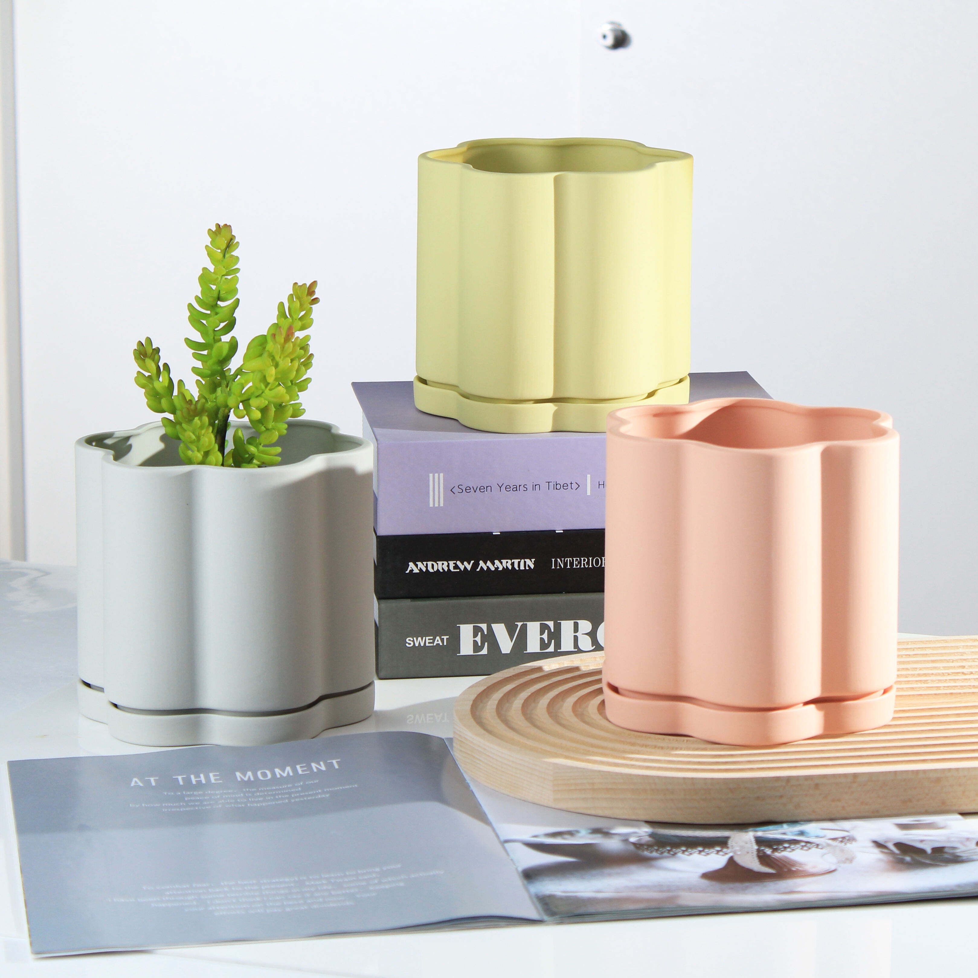Modern Ceramic Succulent Pot Various Styles Indoor Herb Planter and Flower Pots for Garden Home Decor