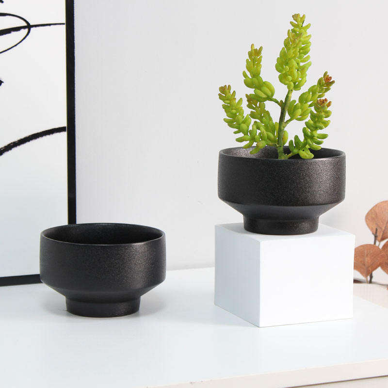 Nordic Cute Munting Seramik na Itim na Frosted Succulent Flower Plant Pot Seramik na palanggana ng bulaklak