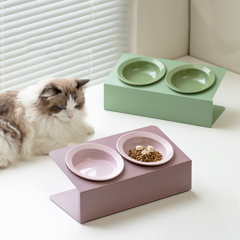 Custom Logo Elevated Raised Tilted Feeding Food Water Drinking Pet Dog Cat Ceramic Bowl Feeders
