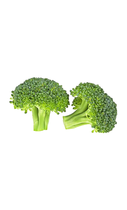 Broccoli