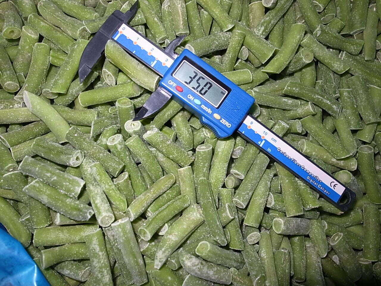 Frozen Green Beans supplier