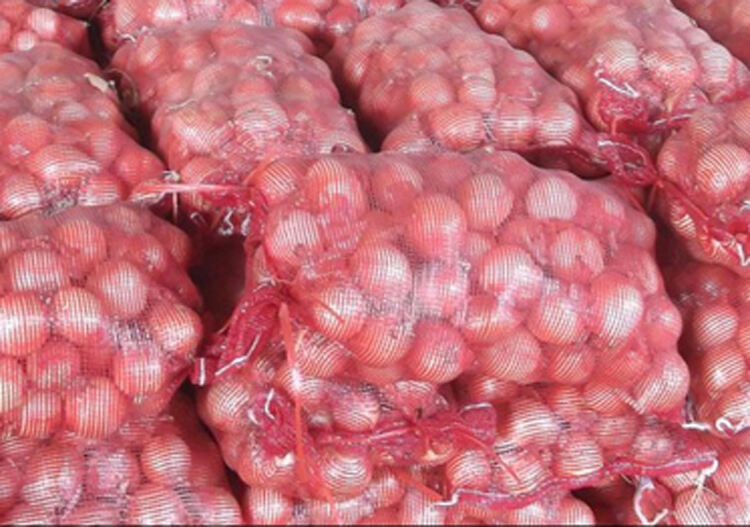 Fresh Onion manufacture