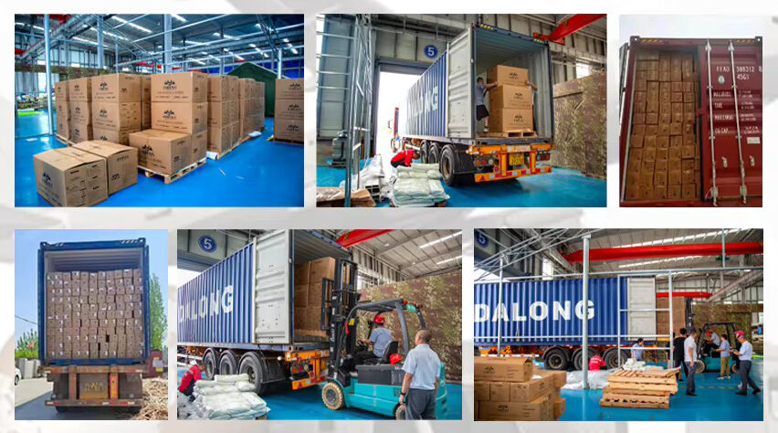 07 inflatable camping tent packing包装.jpg