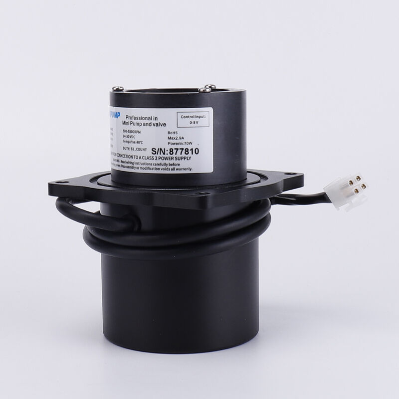 Domino régi modell D-típusú motor HGN0097