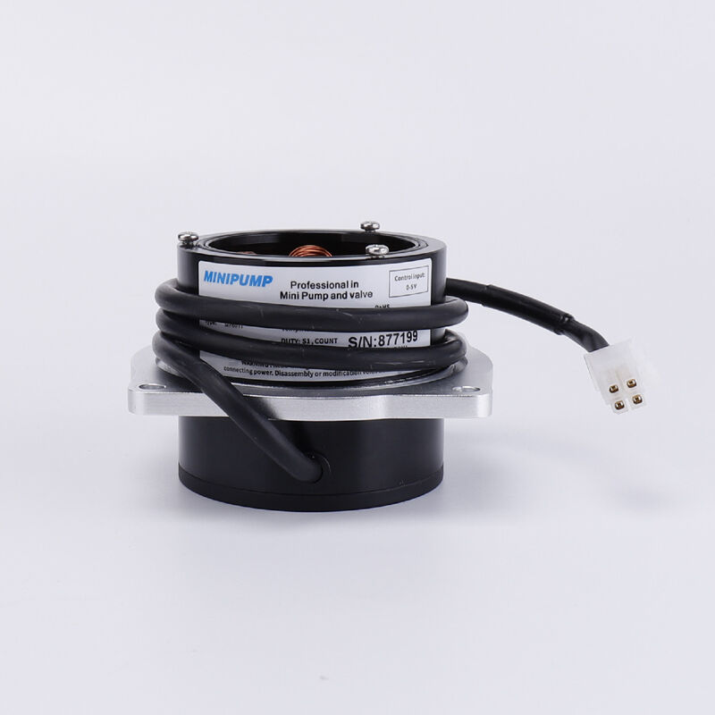 Domino új D-típusú motor HGN0064