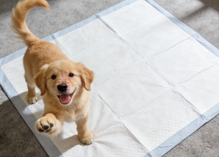 super absorbent white spunbond nonwoven fabric for pet pad   shandong xingdi new materials-1