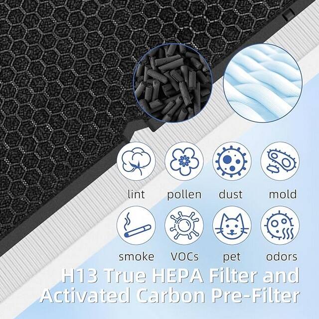 Hepa filter compatible with Winix C555 factory