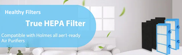 Healthy Filters True Hepa Filter Replacement with Activated Carbon Filter for Holmes HAPF30AT manufacture