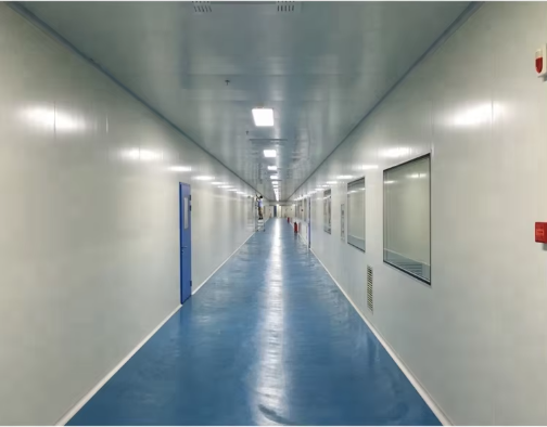 Enhancing Manufacturing Quality through Clean Rooms