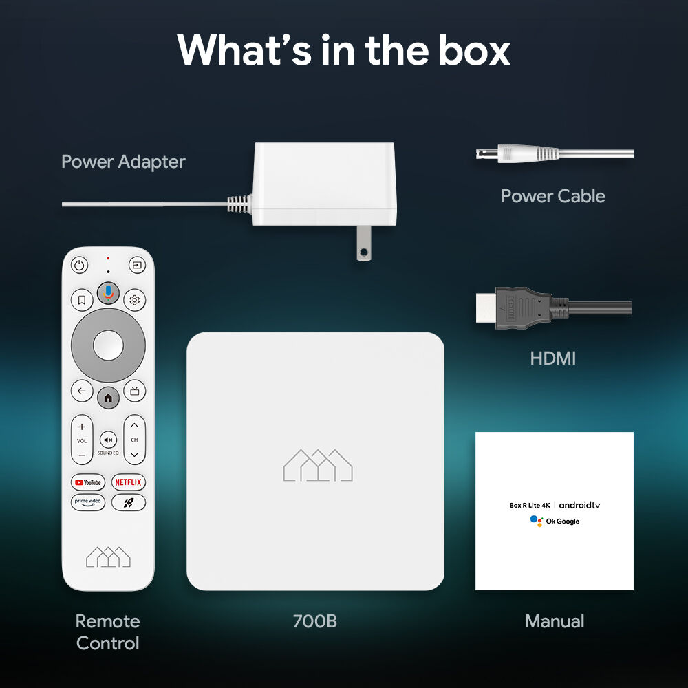 Elebao GB2 Homatics Box R Lite 4K Android TV Box Google Chromecast 2023 ...