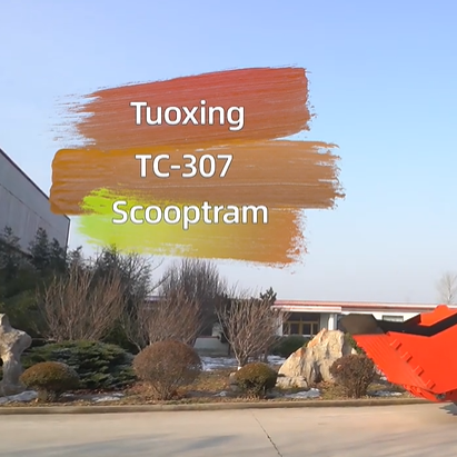شاحنة حمل توكسينغ TC-307
