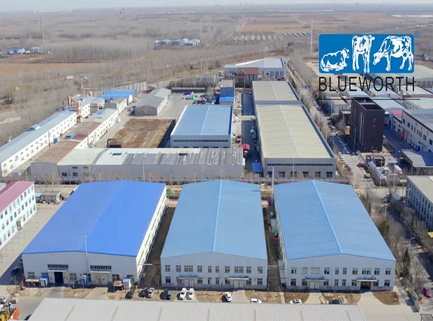 CHENGDU BLUEWORTH PLASTIC PRODUCTS CO., LTD.