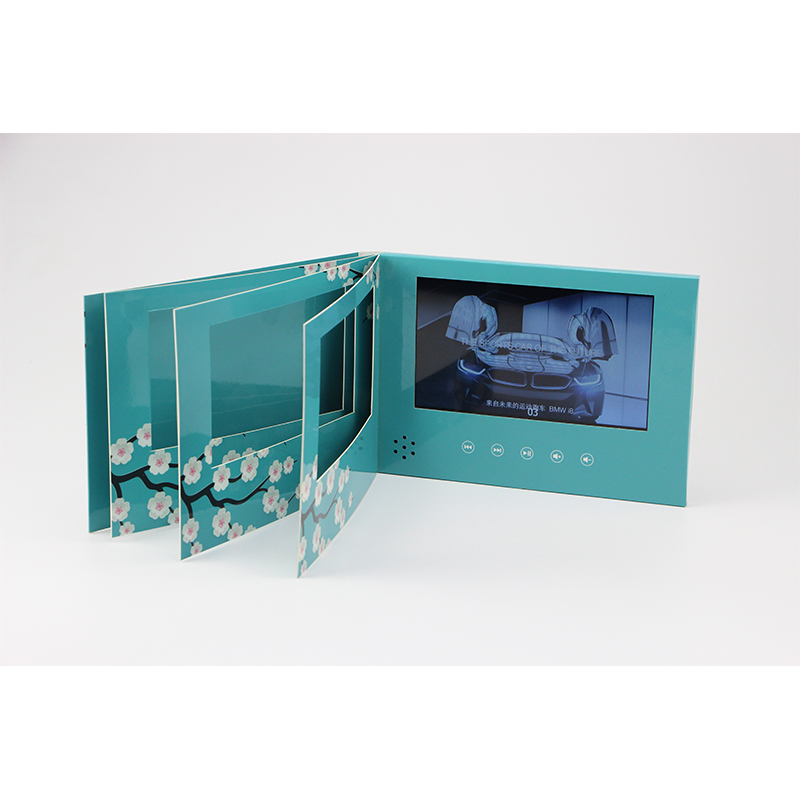 Production Standards for Video Books in Manufacturing Plants