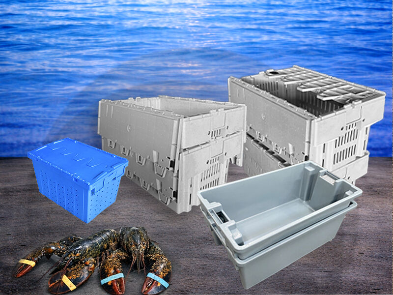Caisses à Homard : Comment Optimiser le Transport et Réduire les Pertes en Chaîne du Froid