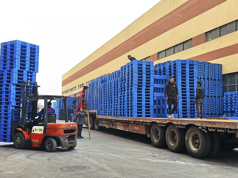 plastic pallet manufacturer.jpg
