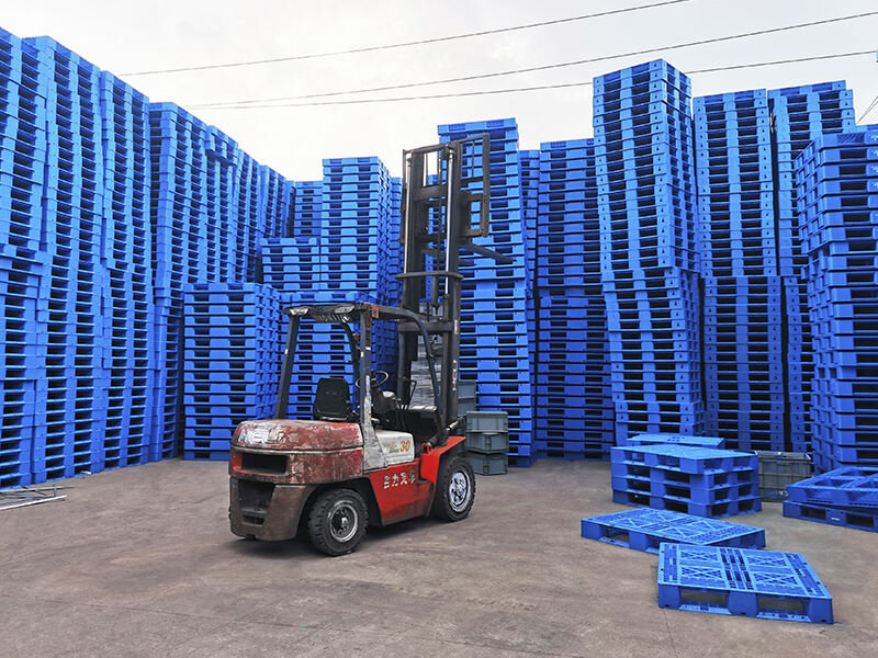 Plastic Pallets: Durable, Hygienic, and Export-Ready Solutions