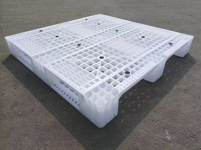 Plastic Skids for Cold Storage: Hygienic and Low-Temperature Ready