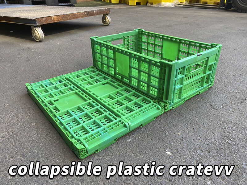 Why Collapsible Plastic Crates Are the Best Solution for Modern Logistics