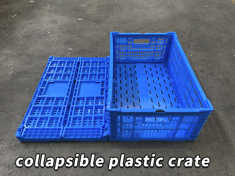 How Foldable Crates Cut Logistics Costs and Improve Warehouse Efficiency