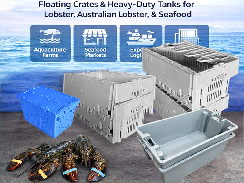 Seafood Crates: How to Improve Freshness and Reduce Loss in Seafood Logistics