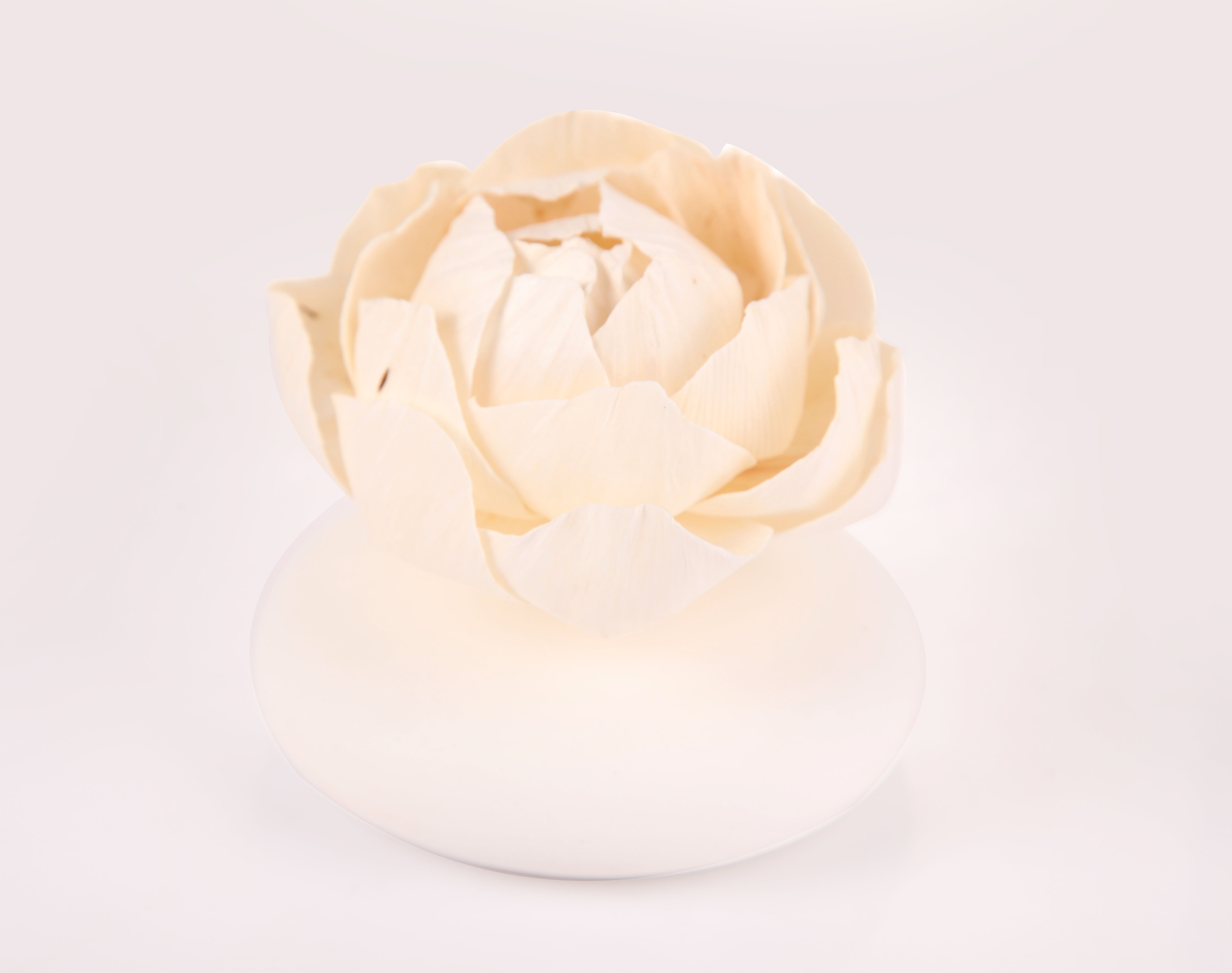 Handgemachter Aroma-Diffusor mit hochwertigen Ölen, eleganten Flaschenformen und individuell gestaltbaren Faserrohren, OEM-ODM-Reed-Diffusor-Lieferant mit Unterstützung für Private-Label-Geschenkverpackungen, langanhaltender Duft und personalisierte Düfte für Zuhause, Büro und Spa