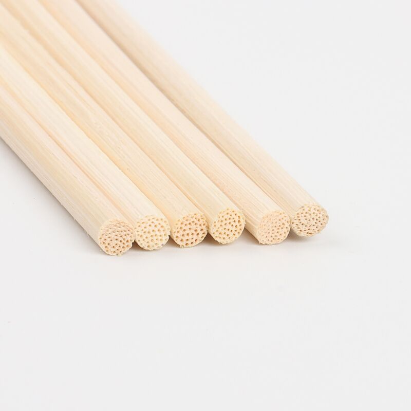 Eco-Friendly Design and Materials