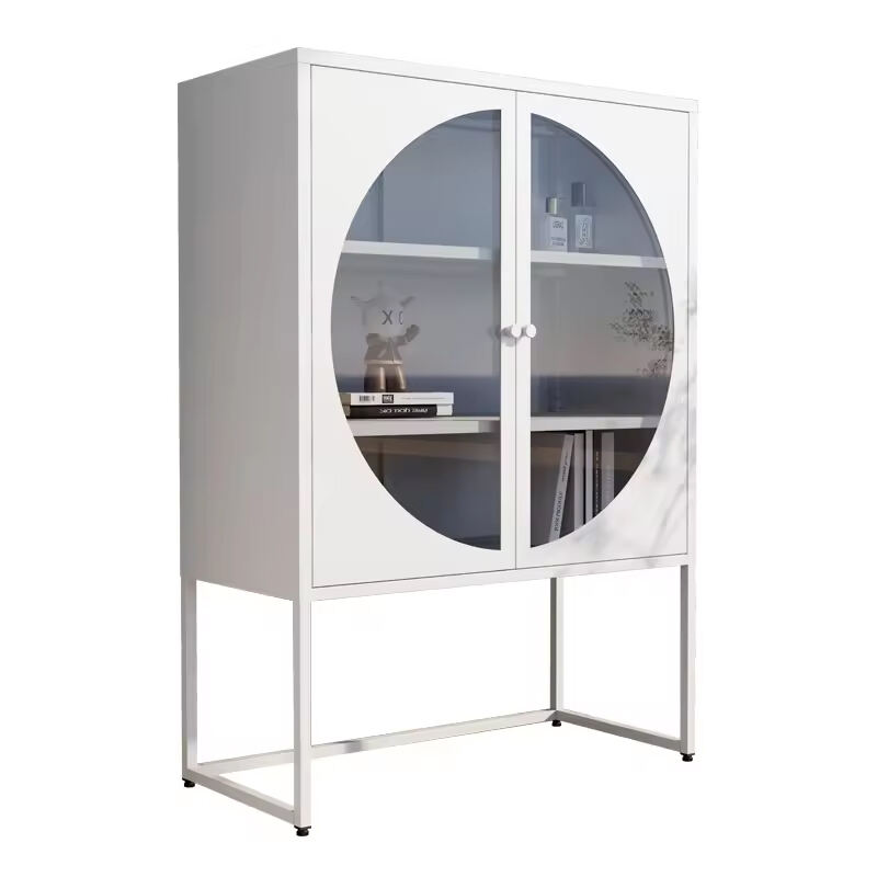 2 Door Metal Storage Cabinet for Home