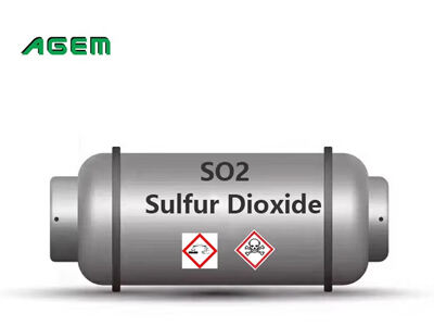 SO2 Gas: The Key Player in Ne Bacterial Denuo in Food Processing