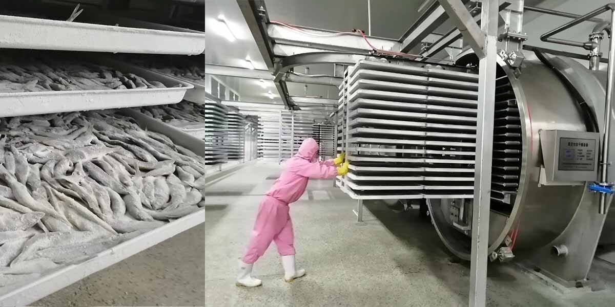 Diversified applications of freeze-drying machines in the food industry