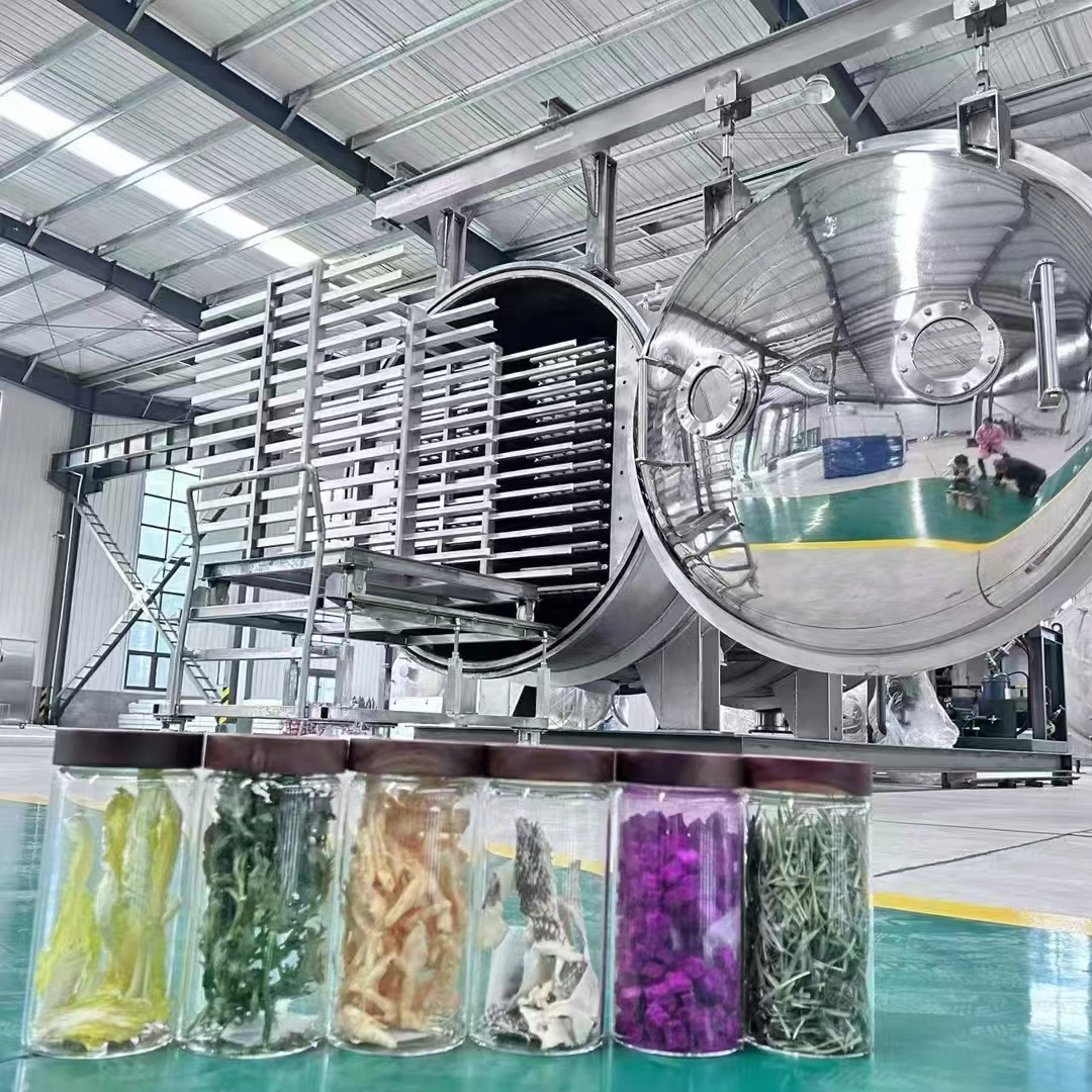 Application of Industrial Freeze Dryers in the Current Market.png