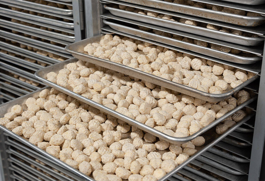 Freeze dried pet food: the new favorite of the healthy diet market