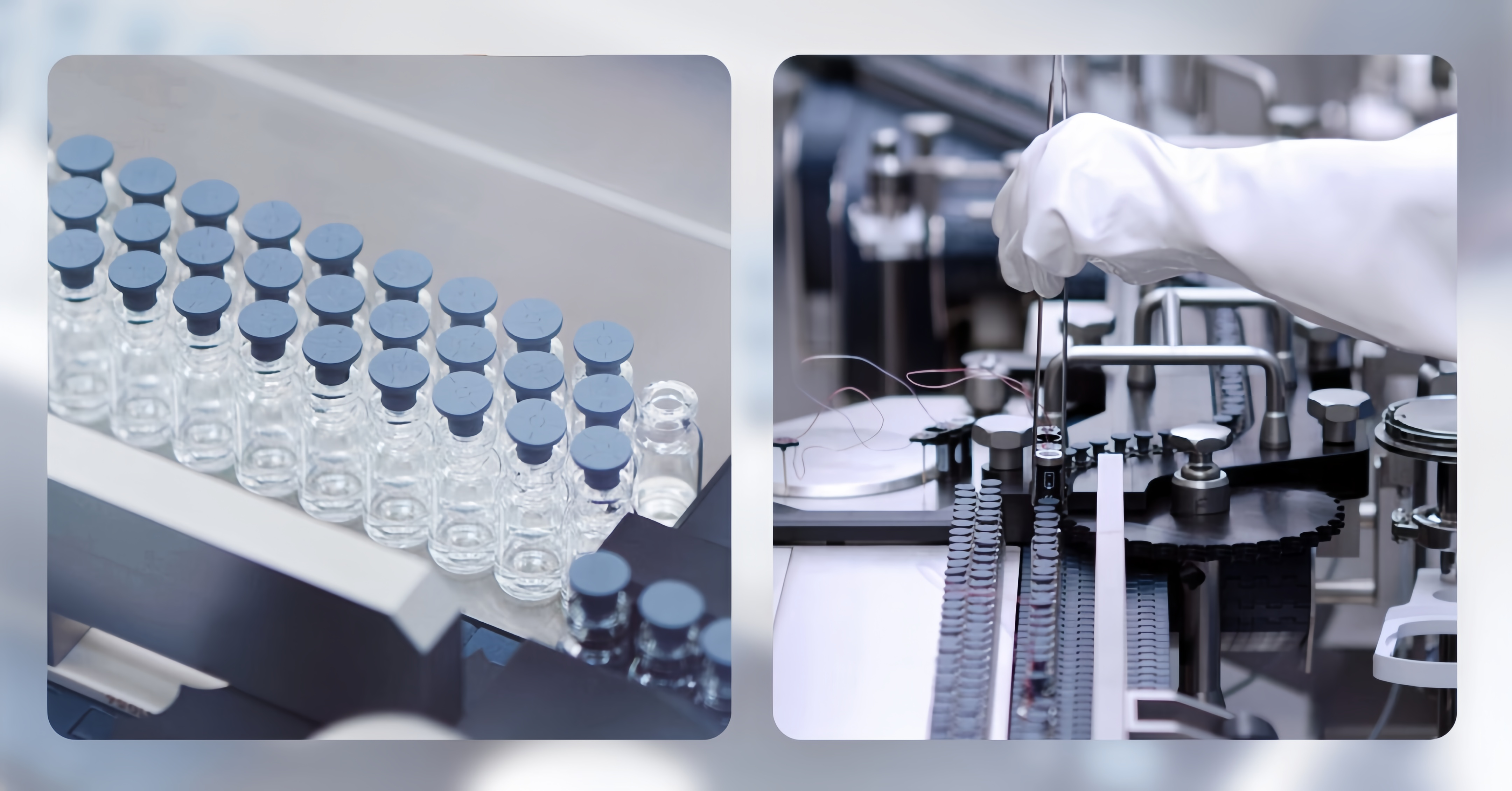 The Secret Weapon of University Labs: How Freeze Dryers Keep Scientific Samples 'Frozen in Time' for 10 Years?