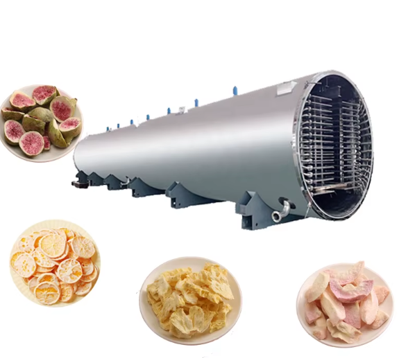 What factors to consider when choosing a freeze dryer machine?
